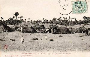 Colomb bechar 607